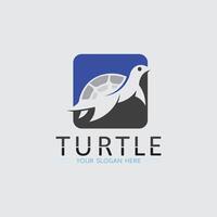 tortuga, animal, caricatura, icono vector