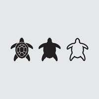 Turtle animal cartoon icon vector