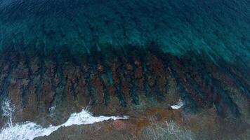 tropical de praia com Palmeiras e azul oceano dentro Maldivas. aéreo zangão Visão video