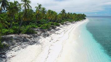 tropical plage avec paume des arbres et transparent bleu océan sur ensoleillé journée. aérien vue sur luxe paradis île video