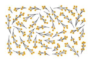 floral elementos colocar. mimosa flores varios formas plano ilustración. colección de sencillo árbol ramas con amarillo redondo forma flores botánico objetos como gráfico recursos. vector