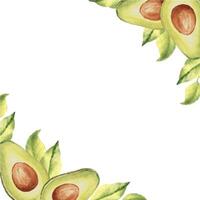 Avocado square frame, border. Corner compositions with avocado half fruit and leaves. Botanical vegetable hand drawn watercolor illustration. Can be used for cards, logos and textile design. vector