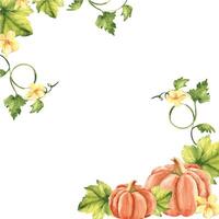 Autumn square frame, border. Watercolor pumpkin corner composition with flowers and leaves. Botanical vegetable hand drawn watercolor illustration. Can be used for cards, logos and textile design. vector