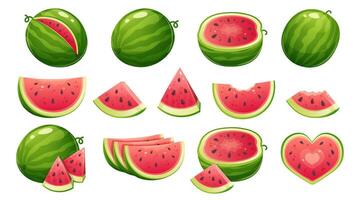 Set of watermelon icons in different angles on white background. Watermelon slice, half, whole watermelon, watermelon bitten and cut up vector