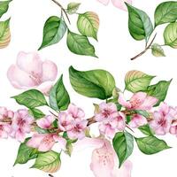 Blooming branch of apple tree with pink flowers seamless pattern watercolor isolated on white. Blossom fruit tree branch hand drawn. Design element for packaging, backdrop, wallpaper, textile vector