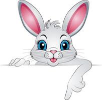 Cute rabbit cartoon with a blank sign isolated on a white background. illustration. vector