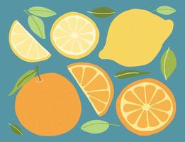 Colorful citrus fruit and leaf illustrations on blue, featuring whole and sliced oranges and lemons in a clean, flat design. vector