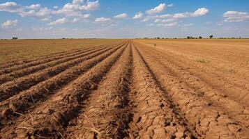 Dry farmland climate change effects photo