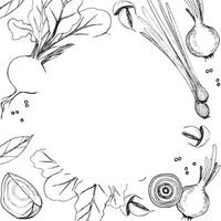 Illustration. Round frame with bleed. Vegetables, beets, onions, green onions, garlic, peppercorns, vegetable slices. All objects are drawn in in black. For printing on paper, menus, recipes vector