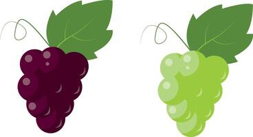 Grapes icon set, red and white. Different grape vine types. Wine logo art, isolated cartoon illustration vector