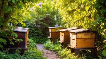 Wooden beehives in garden scene photo