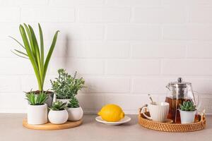 té ceremonia artículos conjunto en cocina Roca encimera con en conserva plantas blanco ladrillo pared. un Copiar espacio. cocina antecedentes. foto