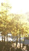 paisagem deslumbrante durante o outono para setembro video
