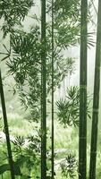 Fresh nature and Greeny tropical bamboo forest video