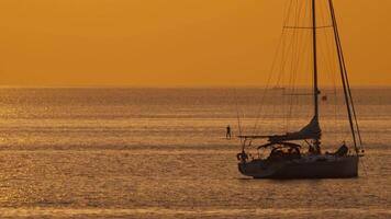 filmisch Aufnahmen von das schimmernd Meer im ein golden Sonnenuntergang. Yacht und Mann auf sup Tafel video