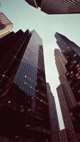 Looking Up at Skyscrapers in New York City video