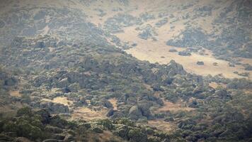 aéreo Visão do uma majestoso montanha alcance coberto com exuberante verde árvores video