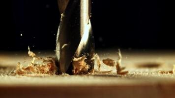 Super slow motion drill is made in a hole in a tree with sawdust. High quality FullHD footage video