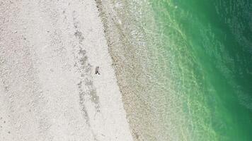 Aerial. the tranquility of alpine lake in spring video