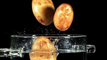 super lent mouvement patates tomber dans une pot de l'eau avec éclaboussures. haute qualité Full HD métrage video