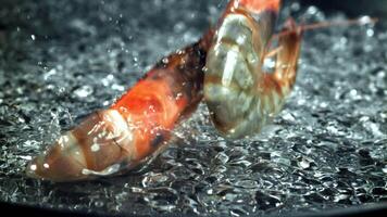 Super slow motion shrimps. High quality FullHD footage video