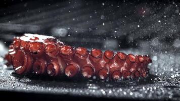 super langzaam beweging gebakken Octopus tentakels. hoog kwaliteit full HD beeldmateriaal video