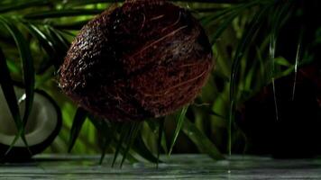 Super slow motion coconut with splashes. High quality FullHD footage video