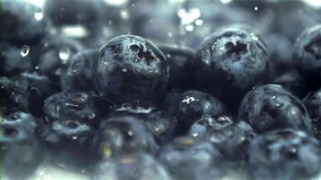 Super slow motion drops of water fall on blueberries. Macro background. Filmed on a high-speed camera at 1000 fps.High quality FullHD footage video