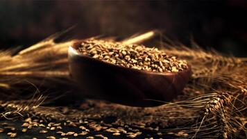 Super slow motion plate of barley grains falls on the table. On a black background. Filmed on a high-speed camera at 1000 fps. video