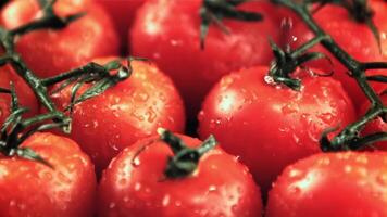 Drops of water fall on ripe tomatoes. Macro background.Filmed is slow motion 1000 frames per second.High quality FullHD footage video