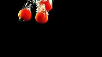 vers tomaten vallen onder de water met lucht bubbels. Aan een zwart achtergrond. gefilmd is langzaam beweging 1000 kaders per seconde. video