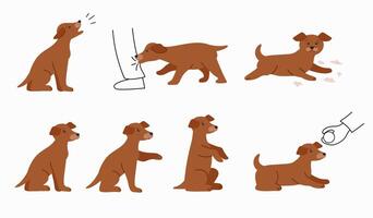 Training of young dogs. Bad and good behavior of the puppy, the execution of commands. Puppy in various poses isolated illustrations on white background. vector