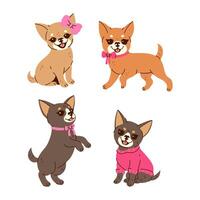 Set of cute chihuahuas isolated on white background. graphics. vector