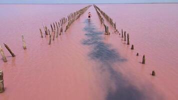 Sasyk-Sivash is the largest lake and salt lake on the Crimean peninsula video