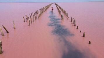 Sasyk-Sivash is the largest lake and salt lake on the Crimean peninsula video