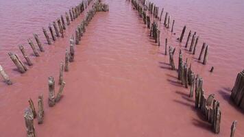 Sasyk-Sivash is the largest lake and salt lake on the Crimean peninsula video