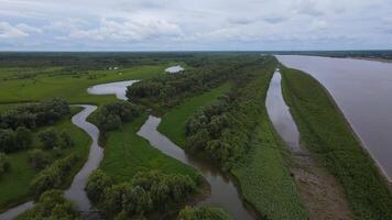 Aerial. Many rivers, forests, forests on the banks of a wide river video