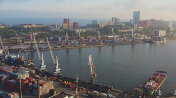 Mooring wall of the port of the sea cargo terminal with port cranes. Drone view video