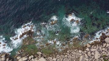 Sea waves roll on the rocky coast with splashes and foam. Drone view video