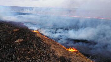 Aerial view of a burning dry field. Large clouds of smoke rise into the sky video