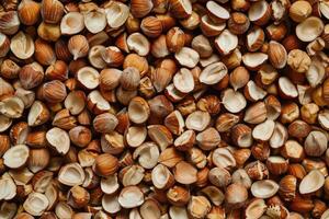 Closeup view of hazelnuts nuts photo