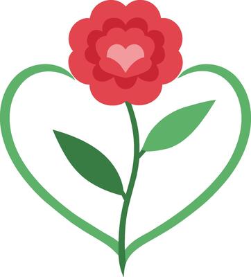 Celebrate Valentine's Day with Heart Shape Carnation