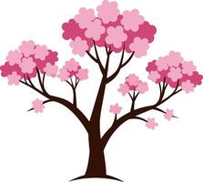 Cereza árbol con rosado flores aislado en blanco antecedentes vector