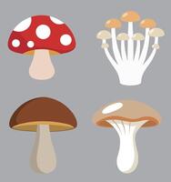 Mushroom set. Different types of mushrooms vector