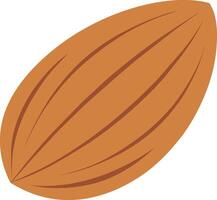 hand drawn almond flat illustration vector