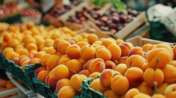 orgánico albaricoques en el mercado. foto