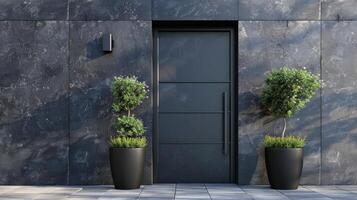 Black front door with plants, facade of a modern building with modern door. photo