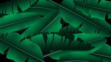 Tropical banana leaf pattern vector