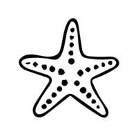 estrella de mar dibujo en negro y blanco vector