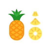 Whole pineapple and three types of slices. Round, triangle and chunk. Flat illustration isolated on white background. Flat infographic style. vector